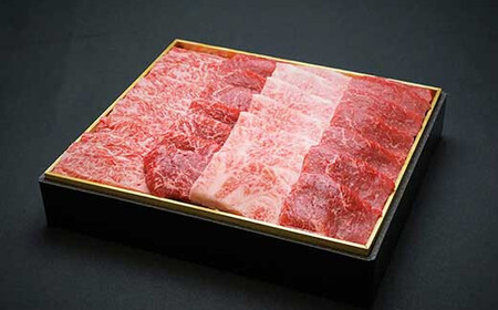 宮崎牛 霜降り＆赤身焼肉セット 700g 切り落とし 牛肉 カルビ モモ ウデ 赤身 国産牛 お肉 冷凍 焼き肉 ギフト 贈答用 贈り物 宮崎県 九州 送料無料 日本一 祝！宮崎牛は、史上初和牛オリンピック４大会連続内閣総理大臣賞受賞！