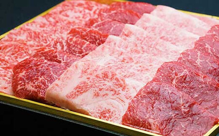 宮崎牛 霜降り＆赤身焼肉セット 700g 切り落とし 牛肉 カルビ モモ ウデ 赤身 国産牛 お肉 冷凍 焼き肉 ギフト 贈答用 贈り物 宮崎県 九州 送料無料 日本一 祝！宮崎牛は、史上初和牛オリンピック４大会連続内閣総理大臣賞受賞！