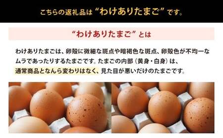 わけありたまご 康卵 216個 卵 たまご 破損保証 20個含む 赤 卵 たまご MSサイズ 卵 たまご 玉子 タマゴ 生卵 鶏卵 鶏 訳あり TKG たまごかけごはん 卵かけご飯 卵かけごはん 玉子焼き 卵焼き ゆで卵 国産 卵 たまご 九州産 卵 たまご 送料無料 卵 たまご