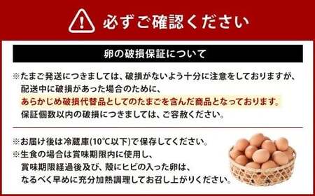 【3回定期便】わけありたまご 康卵 108個 卵 たまご 破損保証 10個含む 赤 卵 たまご MSサイズ 卵 たまご 玉子 タマゴ 生卵 鶏卵 鶏 訳あり 国産 卵 たまご 九州産 卵 たまご 送料無料 卵 たまご