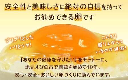 えびのの大自然で育ったこだわりタマゴ 康卵 90個 破損保証 10個含む 卵 たまご 赤 Mサイズ 鶏 TKG たまごかけごはん 卵かけご飯 卵かけごはん 玉子焼き 卵焼き ゆで卵 宮崎県産 九州産 送料無料
