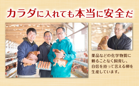 えびのの大自然で育ったこだわりタマゴ 康卵 90個 破損保証 10個含む 卵 たまご 赤 Mサイズ 鶏 TKG たまごかけごはん 卵かけご飯 卵かけごはん 玉子焼き 卵焼き ゆで卵 宮崎県産 九州産 送料無料