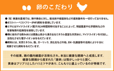 えびのの大自然で育ったこだわりタマゴ 康卵 90個 破損保証 10個含む 卵 たまご 赤 Mサイズ 鶏 TKG たまごかけごはん 卵かけご飯 卵かけごはん 玉子焼き 卵焼き ゆで卵 宮崎県産 九州産 送料無料