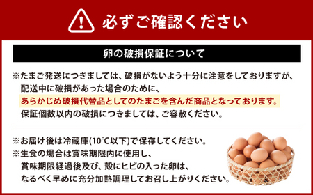 えびのの大自然で育ったこだわりタマゴ 康卵 90個 破損保証 10個含む 卵 たまご 赤 Mサイズ 鶏 TKG たまごかけごはん 卵かけご飯 卵かけごはん 玉子焼き 卵焼き ゆで卵 宮崎県産 九州産 送料無料