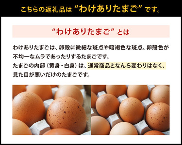 【12回定期便】わけありたまご 康卵 108個 破損保証10個含む 赤 MSサイズ 卵 たまご 鶏卵 鶏 訳あり 国産 九州産 送料無料