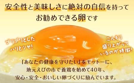 わけありたまご 卵 康卵 108個 破損保証 10個含む 赤 MSサイズ たまご 生卵 鶏卵 鶏 訳あり TKG たまごかけごはん 卵かけご飯 卵かけごはん 玉子焼き 卵焼き ゆで卵 国産 九州産 送料無料