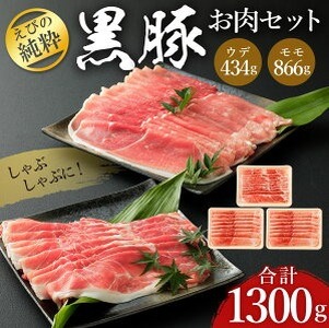 えびの純粋 黒豚 お肉セット (ウデ434g・モモ866g) 合計1300g 1.3kg しゃぶしゃぶ スライス ギフト 贈り物 お礼 お祝い 高級 冷凍 送料無料