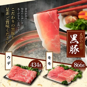 えびの純粋 黒豚 お肉セット (ウデ434g・モモ866g) 合計1300g 1.3kg しゃぶしゃぶ スライス ギフト 贈り物 お礼 お祝い 高級 冷凍 送料無料