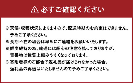 【2025年2月発送開始予定】さがほのか 約800g 約400g×2パック いちご イチゴ 苺 フルーツ くだもの 果物 九州 宮崎 送料無料