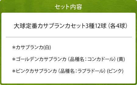 【2024年10月上旬発送開始】ユリ球根 カサブランカ 3種 各4球 合計12球 球根 大球定番 (カサブランカ・ゴールデンカサブランカ・ピンクカサブランカ) 花 フラワー セット 園芸 ガーデニング 植物 高品質 送料無料