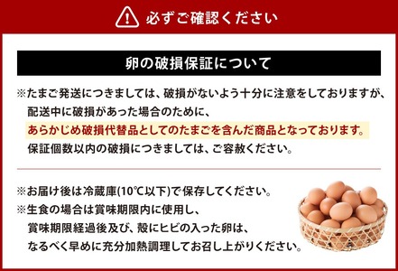 霧島山麓育ち こだわり 卵 康卵 生卵 鶏卵  20個入り 卵 破損保証 2個含む たまご MS L 混合鶏 TKG たまごかけごはん 卵かけご飯 卵かけごはん 玉子焼き 卵焼き ゆで卵 宮崎県産 九州産 送料無料