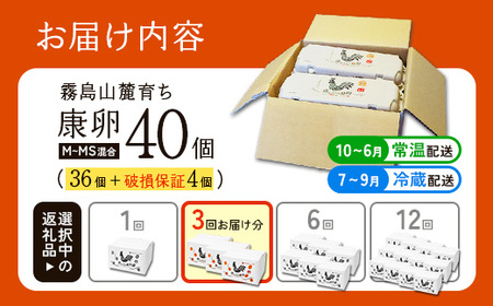 卵【3回 定期便】霧島山麓育ち こだわり卵 康卵 計40個（36個 + 割れ保証4個）3回 計 120個(108個 + 割れ保証 12個) )たまご 玉子 卵焼き 玉子焼き たまご焼き 生卵 鶏卵 たまごかけごはん 国産 九州産 宮崎県産 送料無料