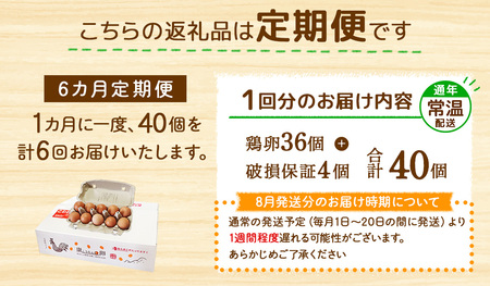 【6回定期便】卵 鶏卵 霧島山麓育ち こだわり卵『康卵』 40個入り×6回 合計240個 たまご 鶏 TKG たまごかけごはん 卵かけご飯 卵かけごはん 玉子焼き 卵焼き ゆで卵 宮崎県産 九州産 送料無料