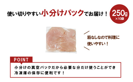 宮崎県産 若鶏筋なしささみ 2.5kgセット (250g×10袋) 鶏肉 ささみ 鶏ささみ 小分け 真空パック 冷凍 国産 宮崎県産 九州 送料無料