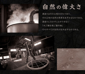 明月プレミアムホワイト 900ml パック 1本 焼酎 芋焼酎 芋 お酒 宮崎県産 九州産 霧島山のめぐみめぐる えびの市 送料無料