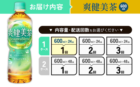 爽健美茶 600ml PET【コカ・コーラ】ペットボトル 1ケース(24本) セット お茶 カフェインゼロ ノンカフェイン ハトムギ ブレンド茶 宮崎県 えびの市 送料無料