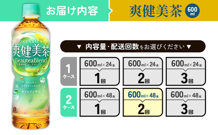 （2回定期便）爽健美茶 600ml PET【コカ・コーラ】ペットボトル 2ケース(48本) 定期便 2回(96本) セット お茶 カフェインゼロ ノンカフェイン ハトムギ ブレンド茶 宮崎県 えびの市 送料無料