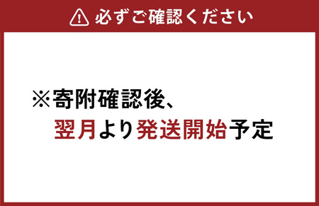 （2回定期便）綾鷹 濃い緑茶 650ml PET【コカ・コーラ】ペットボトル 1ケース(24本) 定期便 2回(48本) セット お茶 緑茶 抹茶 日本茶 茶葉 カテキン 内臓脂肪 皮下脂肪 健康 機能性表示食品 宮崎県 えびの市 送料無料