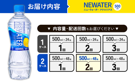 【2回定期便】アクエリアス ニューウォーター 500ml PET【コカ・コーラ】ペットボトル 2ケース(48本) 定期便 2回(96本) セット スポーツドリンク スポドリ カロリーゼロ 熱中症対策 水分補給 清涼飲料水 宮崎県 えびの市 送料無料