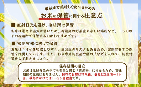 【令和7年産】【3回定期便】米 ひのひかり 10kg 合計 30kg 九州 霧島 えびの産 ヒノヒカリ 発送直前に精米 農家 直送 お米 おこめ こめ コメ 白米 ふるさと納税 10キロ 九州産 宮崎県産 宮崎県 送料無料