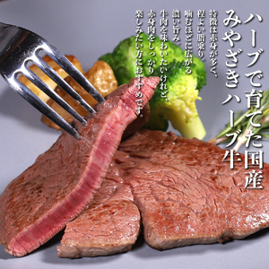 ヒレ ステーキ 宮崎 ハーブ牛 480g(120g×4枚)小分け 真空パック 冷凍