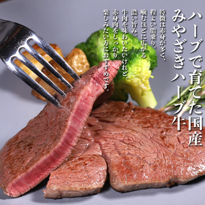 ヒレ ステーキ 宮崎 ハーブ牛 240g（120g×2枚）小分け 真空パック 冷凍