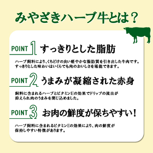 ヒレ ステーキ 宮崎 ハーブ牛 240g（120g×2枚）小分け 真空パック 冷凍