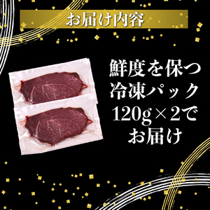 ヒレ ステーキ 宮崎 ハーブ牛 240g（120g×2枚）小分け 真空パック 冷凍