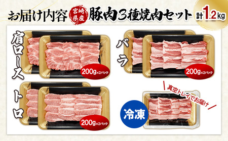 宮崎県産 豚肉 焼肉 3種食べ比べセット 合計1.2kg (肩ロース・バラ・豚トロ) 200g×6パック 真空小分けパック 冷凍 国産 送料無料