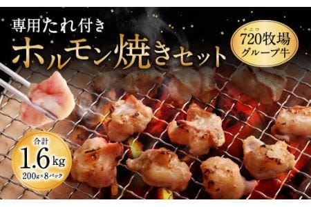 ホルモン焼きセット 200g×8パック 合計1600g 専用たれ付き | 宮崎県