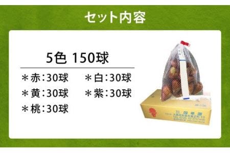 チューリップ球根 普通球 5色 各30球 150球 花 ガーデニング | 宮崎県