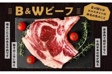 宮崎県産 B&Wビーフ ステーキ(Lボーン・Tボーン) 合計1.4kg | 宮崎県