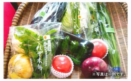 【2024年3月発送分】特別栽培 季節のお野菜セット 12品 おまかせ