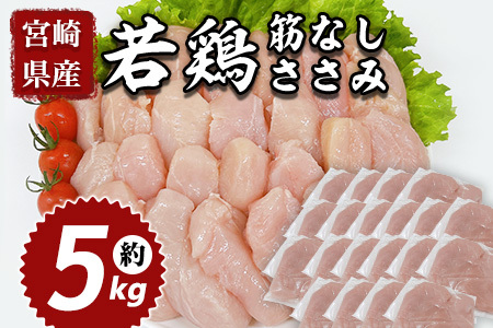 宮崎県産若鶏筋なしささみ 約5kg 国産 鶏 肉 精肉 ささみ ささみ肉 筋なし 使いやすい パック 真空冷凍 お弁当 惣菜 蒸し鶏 数量限定 鶏ささみ 鶏ササミ ササミ 鳥ささみ 鳥ササミ あっさり すじ無し 便利