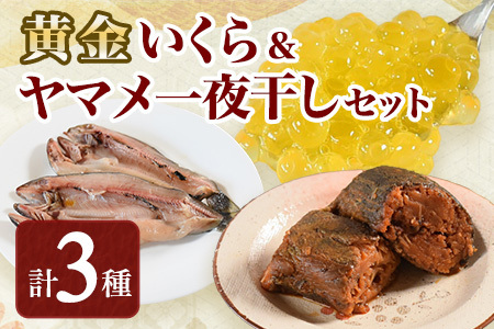 黄金イクラとヤマメ一夜干しセット(3種)黄金イクラやヤマメを詰め合わせ！