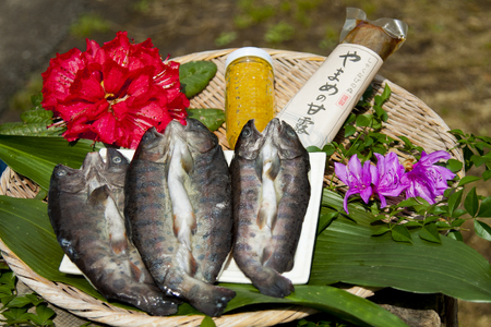 黄金イクラとヤマメ一夜干しセット(3種)黄金イクラやヤマメを詰め合わせ！