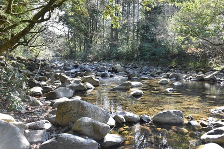 黄金イクラとヤマメ一夜干しセット(3種)黄金イクラやヤマメを詰め合わせ！