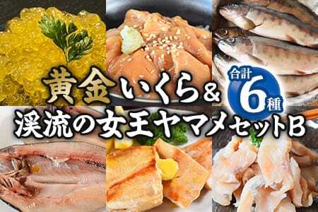 黄金イクラと渓流の女王ヤマメ逸品セットB(6種)黄金イクラやヤマメなどを詰め合せ！