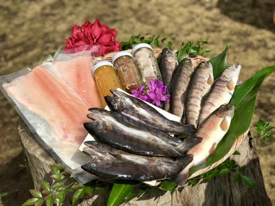 黄金イクラと渓流の女王ヤマメ逸品セットB(6種)黄金イクラやヤマメなどを詰め合せ！