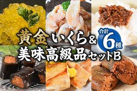 黄金イクラと美味高級品セットB(6種)黄金イクラやヤマメなどを詰め合せ！