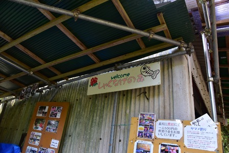 黄金イクラと美味高級品セットB(6種)黄金イクラやヤマメなどを詰め合せ！