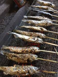 幻の尺ヤマメプレミアムとヤマメ甘露煮セット(計2種)