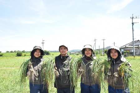 手づくりらっきょう 400g×3袋セットラッキョウ 辣韭 漬物 国産 宮崎県産