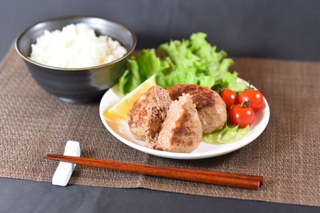 宮崎県産黒豚ヒレハンバーグ120g×10個 (計1.2kg)の冷凍小分けセット！ 国産 宮崎県産 豚肉 ポーク ヒレ肉 肉加工品 牛脂 ハンバーグ 小分け 個包装 簡易包装 冷凍 おかず お弁当 惣菜 レトルト 焼くだけ 簡単調理