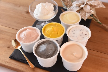 おまかせセット 季節のジェラート 6個 お店セレクト フレーバー お任せ 宮崎県 三股町 スイーツ アイス ヘルシー おやつ 菓子 お菓子 洋菓子 おたのしみ お楽しみ プレゼント ギフト 贈答用 クリスマス ご当地 母の日