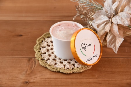 おまかせセット 季節のジェラート 12個 お店セレクト フレーバー お任せ 宮崎県 三股町 スイーツ アイス ヘルシー おやつ 菓子 お菓子 洋菓子 おたのしみ お楽しみ プレゼント ギフト 贈答用 クリスマス ご当地 母の日 