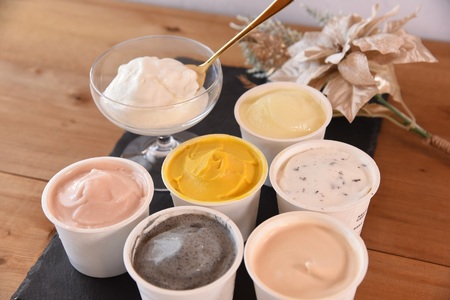 おまかせセット 季節のジェラート 12個 お店セレクト フレーバー お任せ 宮崎県 三股町 スイーツ アイス ヘルシー おやつ 菓子 お菓子 洋菓子 おたのしみ お楽しみ プレゼント ギフト 贈答用 クリスマス ご当地 母の日 