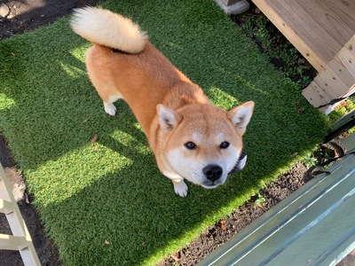 108時間煮込んだカレー 冷凍真空パック 4P×180g