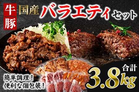 簡単お肉おかず小分けバラエティーセット総量約3.8kg(牛・豚)