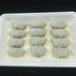 【数量限定！】福栄生餃子店餃子4種(ニラ・ごぼう・ニンニク・エビチーズ)セット